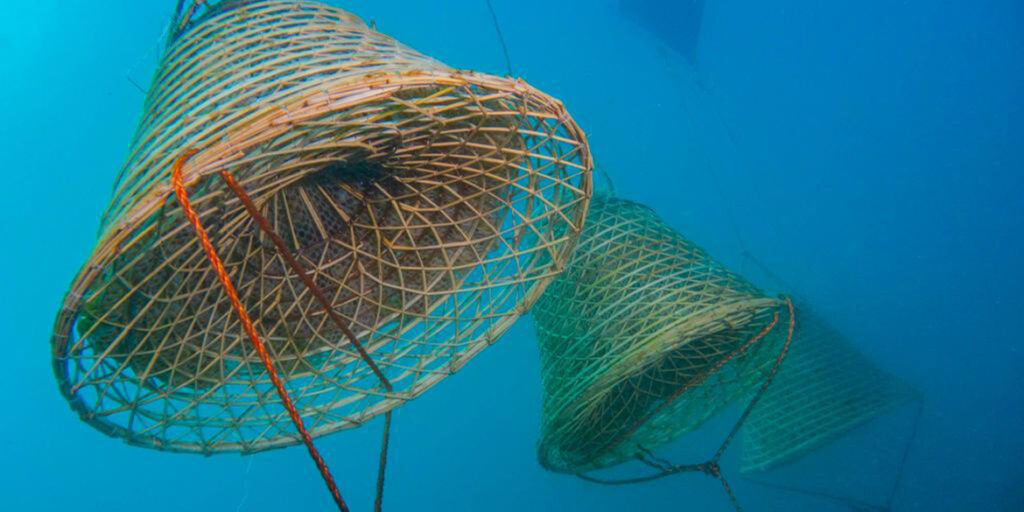 Nesos, il vino marino dell’isola d’Elba