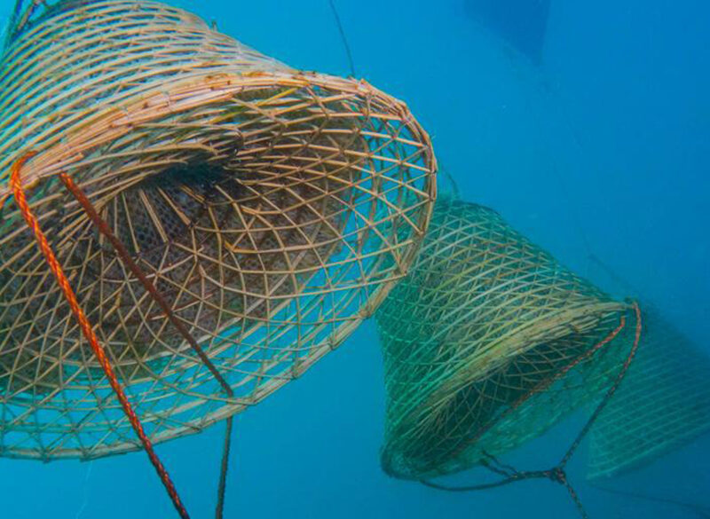Nesos, il vino marino dell’isola d’Elba