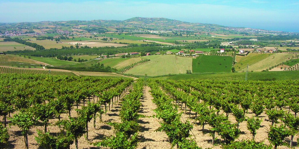Montepulciano d’Abruzzo Colline Teramane Docg: la sfida del tempo