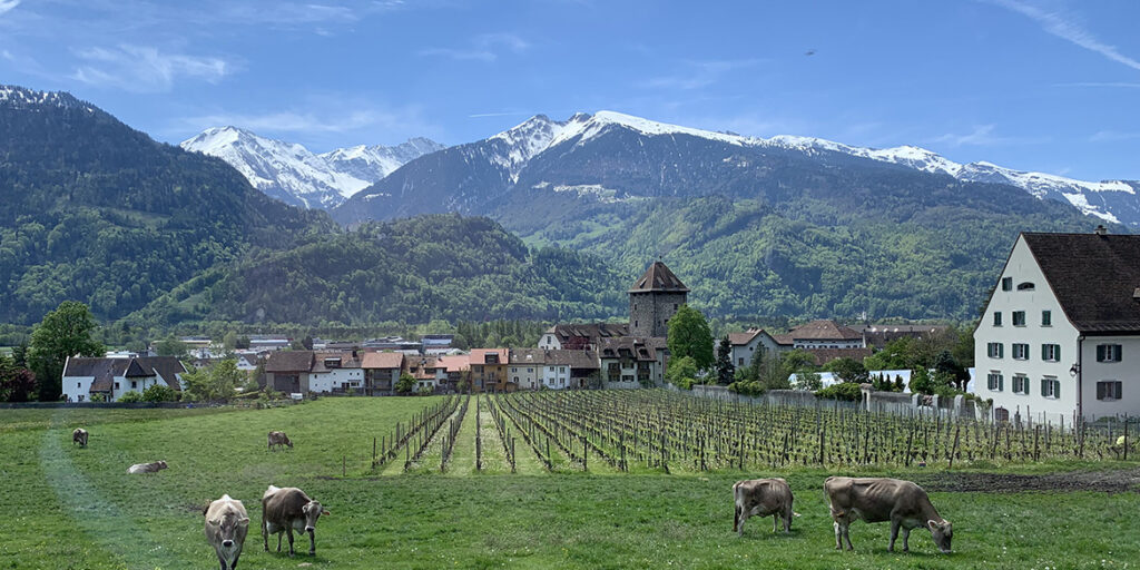 Il Pinot nero dalla terra di Heidi