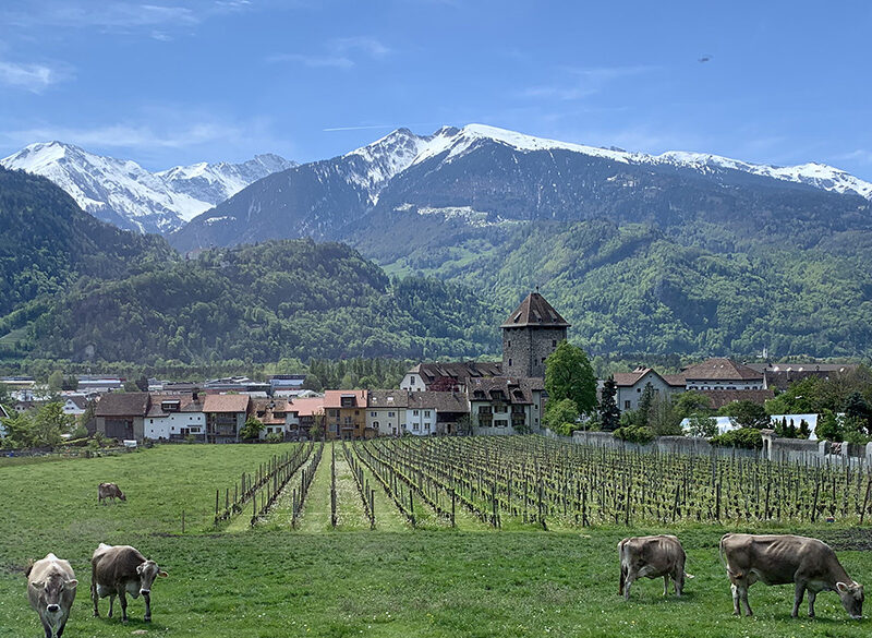 Il Pinot nero dalla terra di Heidi