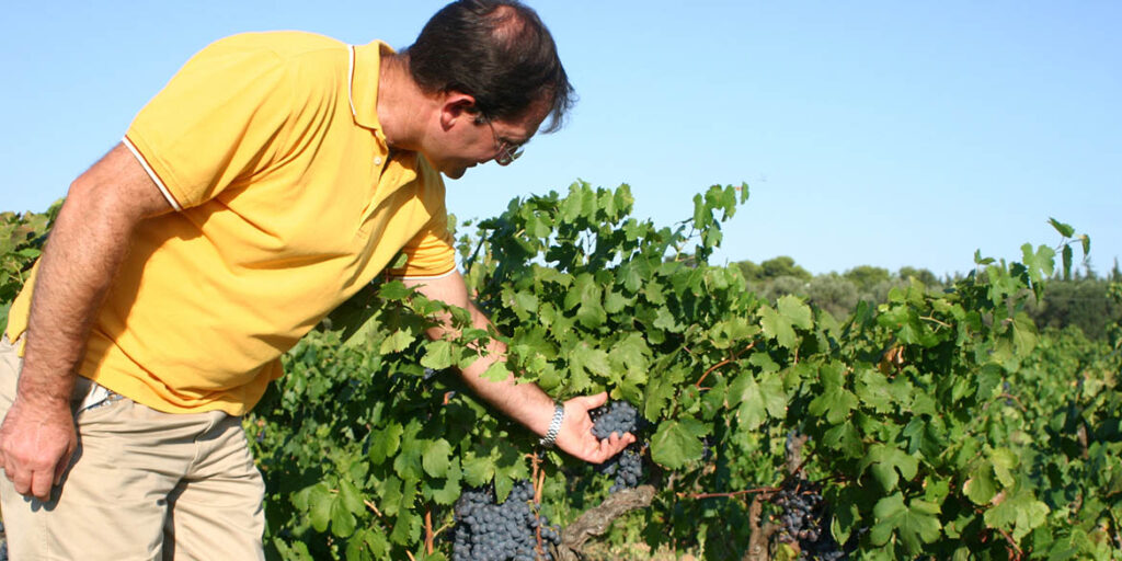 Un passito per rilanciare la Malvasia nera di Brindisi