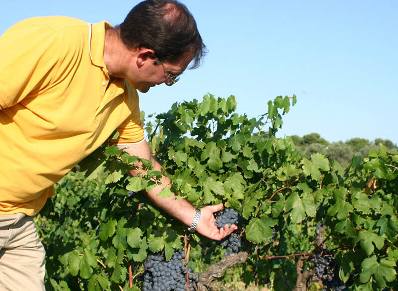 Un passito per rilanciare la Malvasia nera di Brindisi