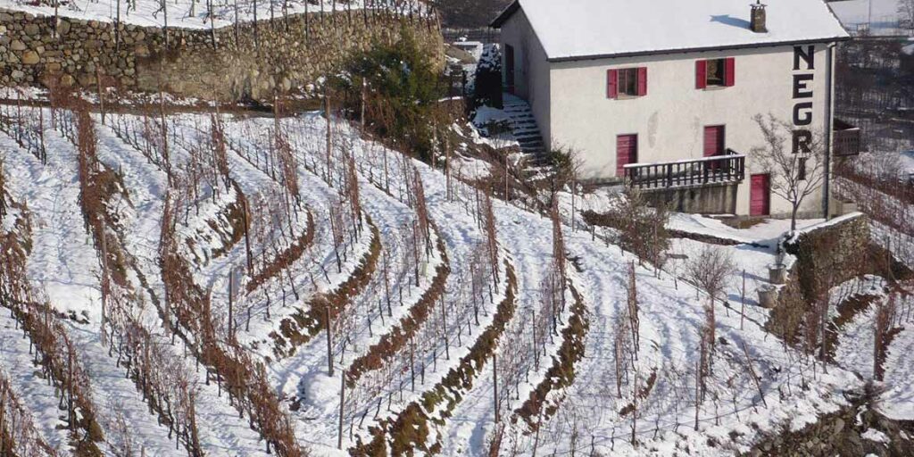 Per Nino Negri è tempo di cru
