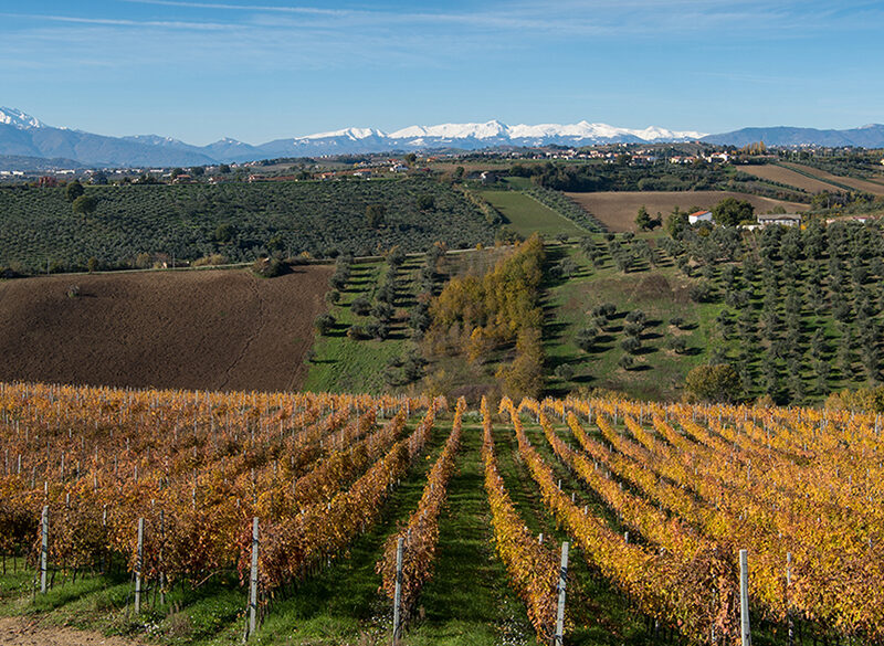 I preziosi Metodo Classico e e la linea Centovie di Umani Ronchi