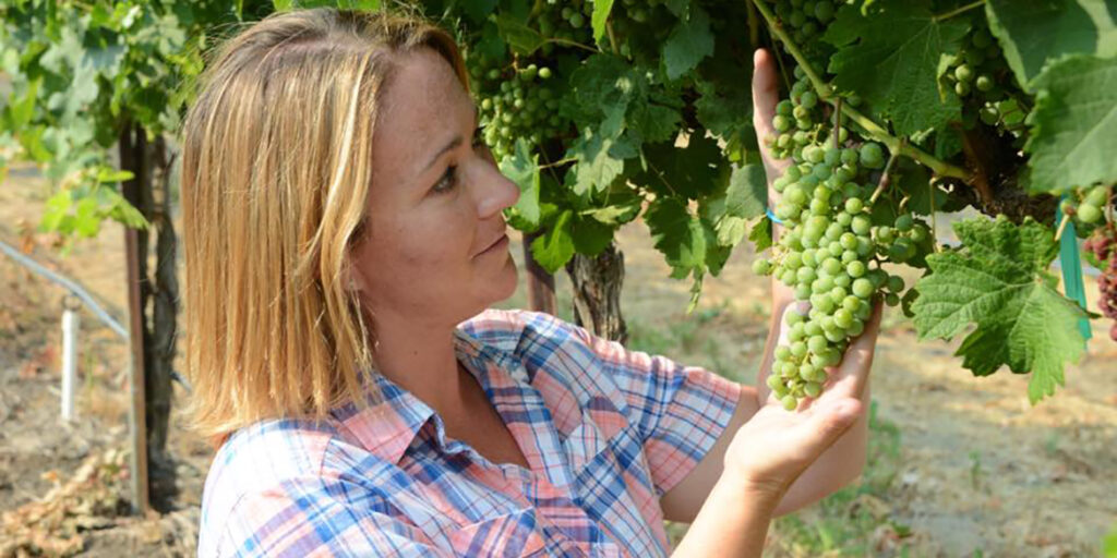 Cinque giovani donne per le vigne dello Stato di Washington
