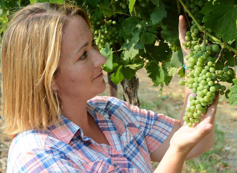 Cinque giovani donne per le vigne dello Stato di Washington