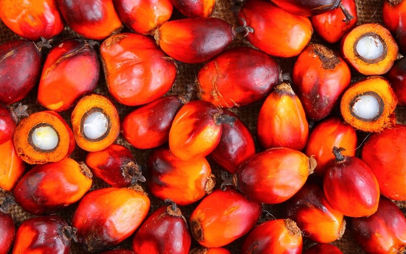 L’Indonesia blocca le importazioni di vino europeo