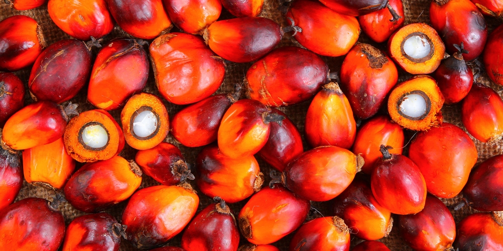 L’Indonesia blocca le importazioni di vino europeo