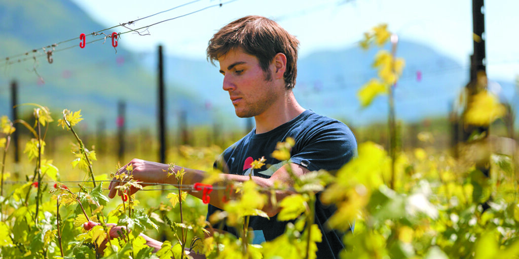 Florian Gojer, una vita con (e per) il vino