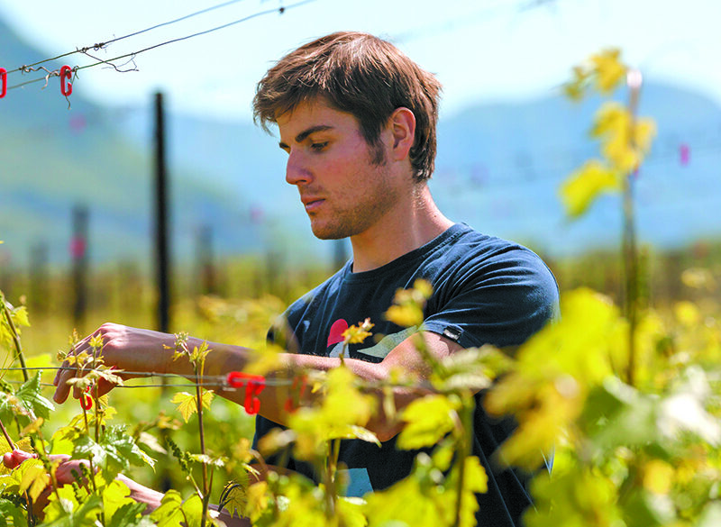 Florian Gojer, una vita con (e per) il vino