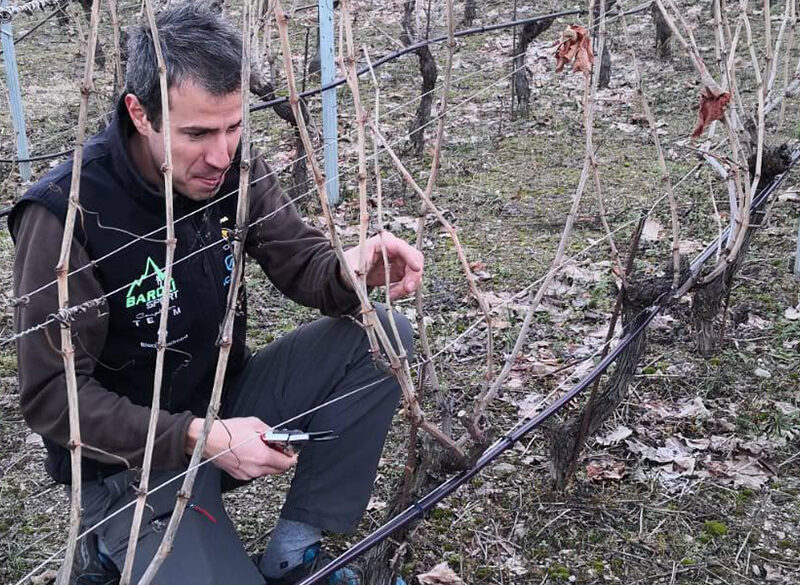 Edoardo Braga, la Valle d’Aosta in bottiglia