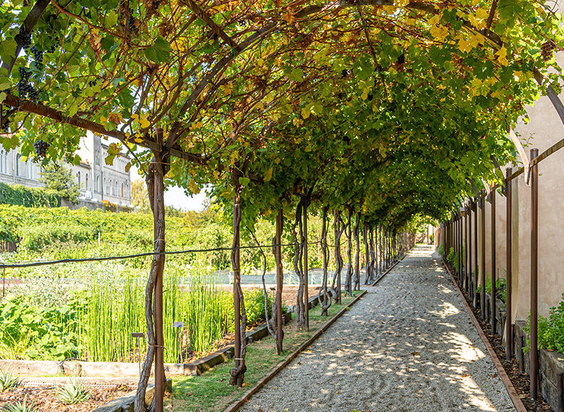 Vini Venezia: 5 denominazioni per un Consorzio