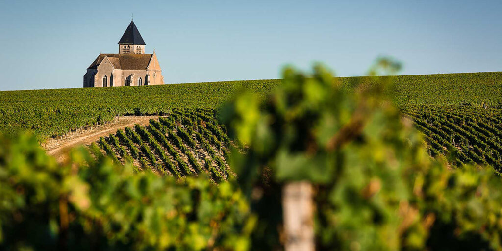 Chablis esclusa dalla Borgogna? L’Inao fa dietrofront