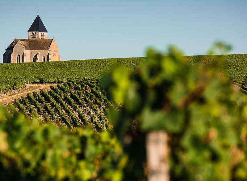 Chablis esclusa dalla Borgogna? L’Inao fa dietrofront
