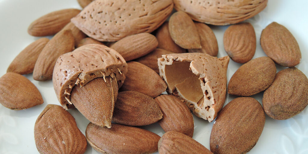 Preziose mandorle, superfood da riscoprire