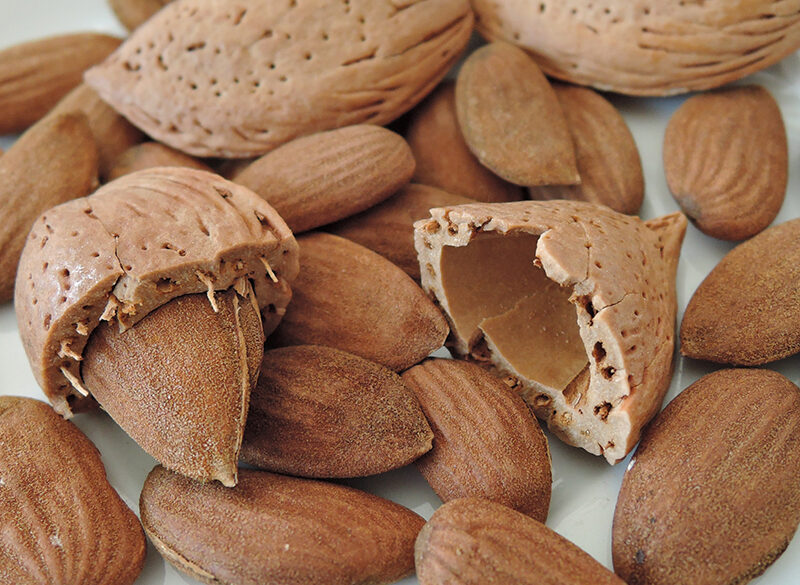 Preziose mandorle, superfood da riscoprire