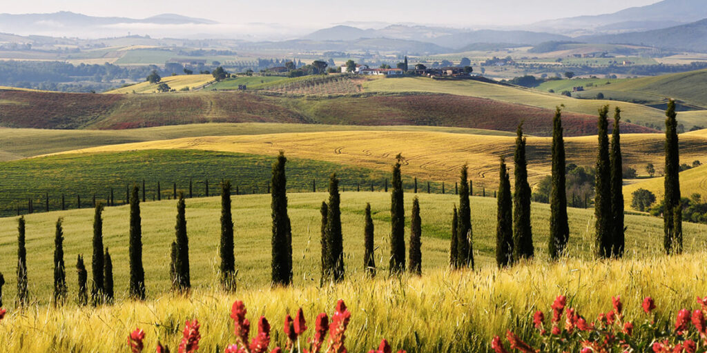 La Toscana tira. E il Morellino di Scansano la mette in etichetta