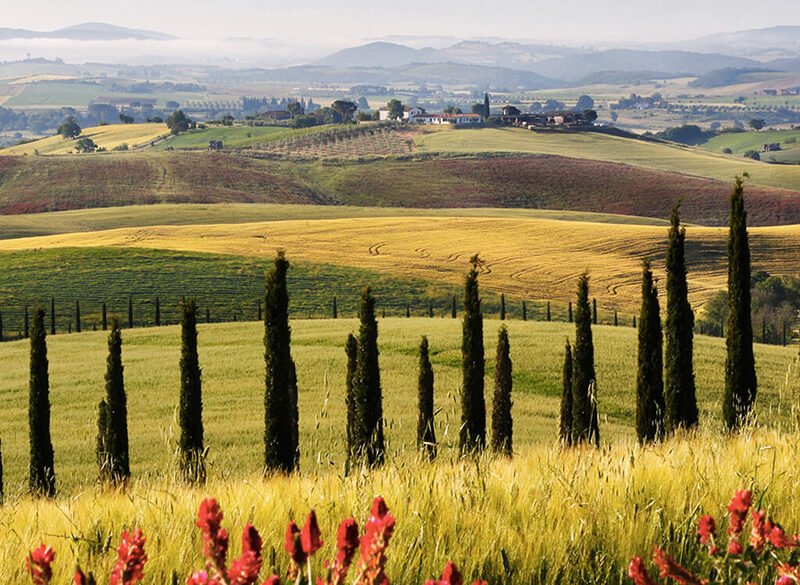 La Toscana tira. E il Morellino di Scansano la mette in etichetta