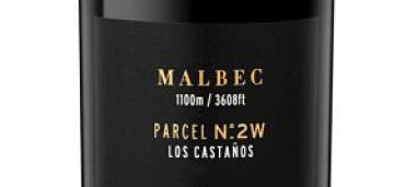 Malbec Single Parcel n°2 Los Castaños 2016 Terrazas de los Andes