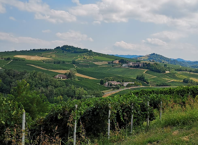 Un segnale di speranza per il rilancio dell’Oltrepò Pavese
