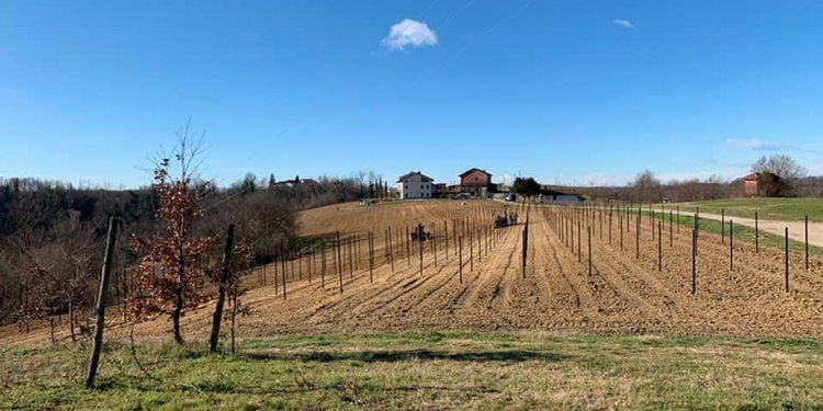 Braida pianta una nuova vigna di Barbera