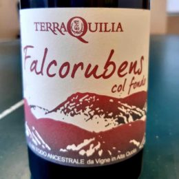 Falcorubens col fondo Lambrusco 2017 TerraQuilia