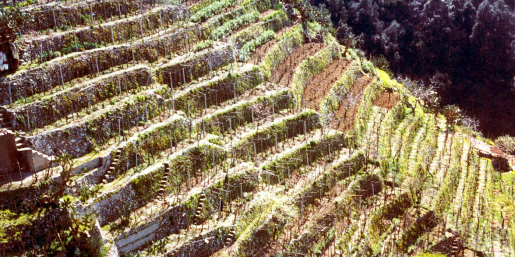 Il Castiglione ama la sabbia, la Prunesta preferisce la montagna