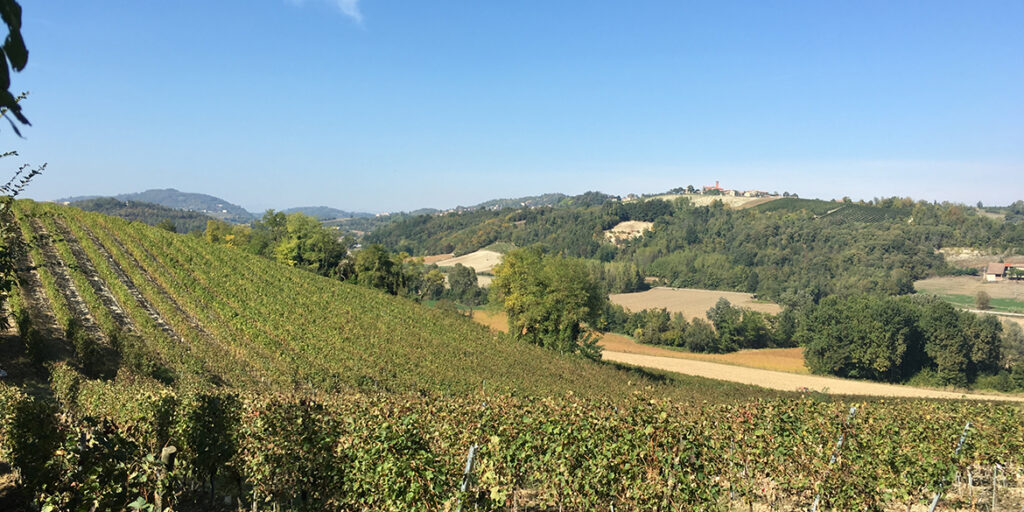Hic et Nunc, stile puro del Basso Monferrato