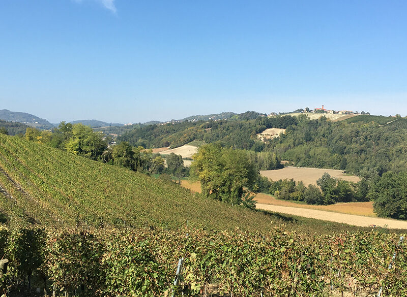 Hic et Nunc, stile puro del Basso Monferrato
