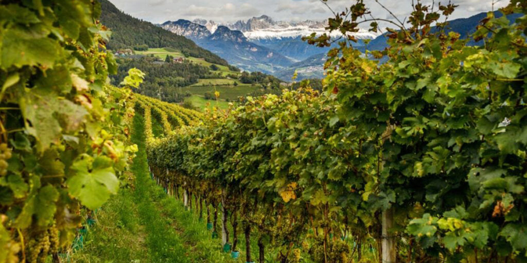 Gli altri spumanti: Alto Adige