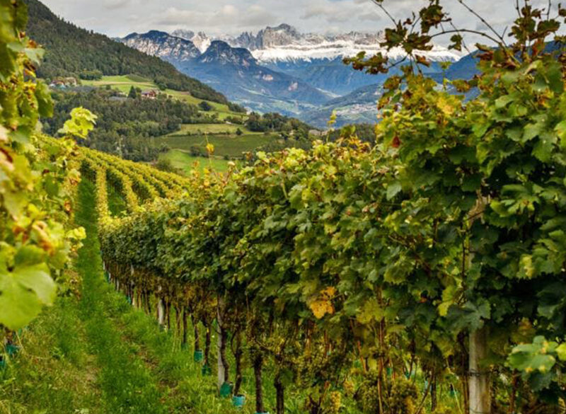 Gli altri spumanti: Alto Adige