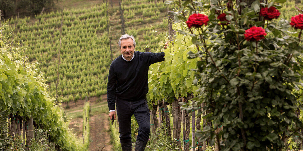 Quintodecimo, la pura espressione dei cru d’Irpinia