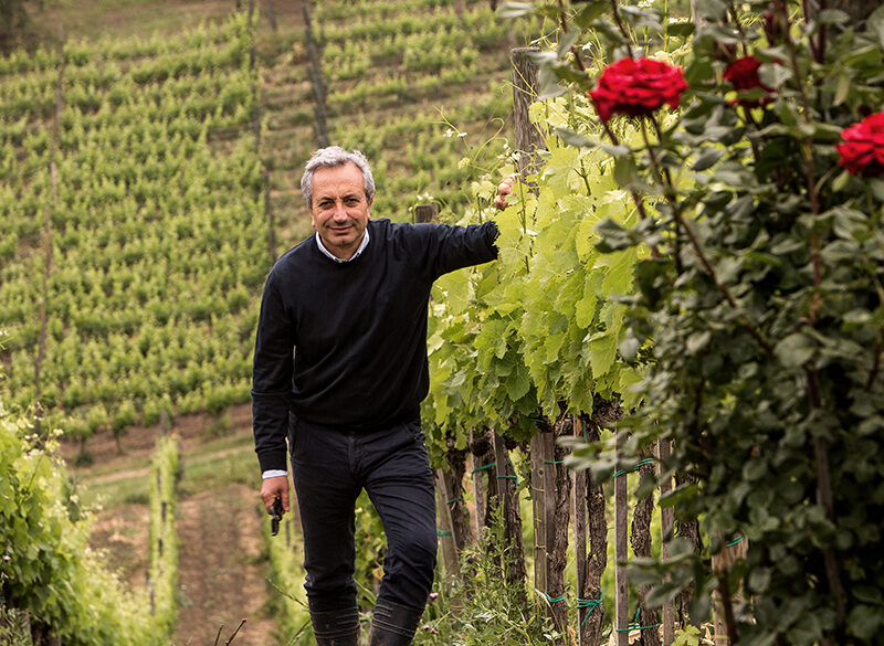 Quintodecimo, la pura espressione dei cru d’Irpinia