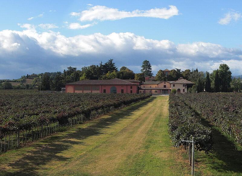 I luoghi del Lambrusco: Modenese