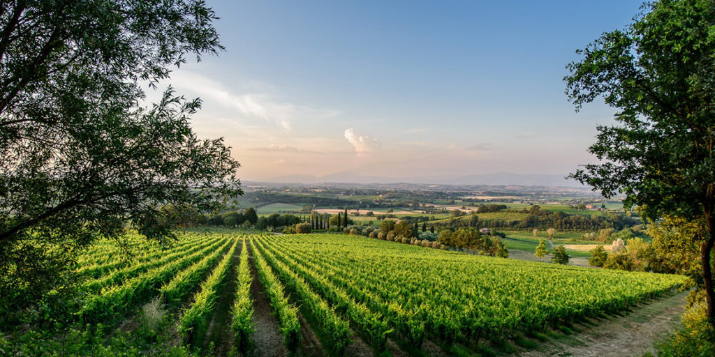Alliance Vinum ridà voce  al Nobile di Montepulciano