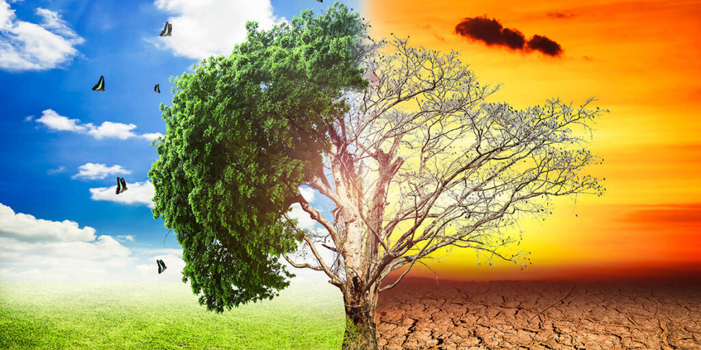 Terroir vs vitigno. Chi vince la sfida del climate change?