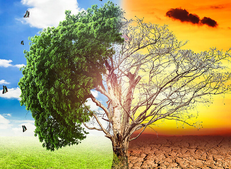 Terroir vs vitigno. Chi vince la sfida del climate change?