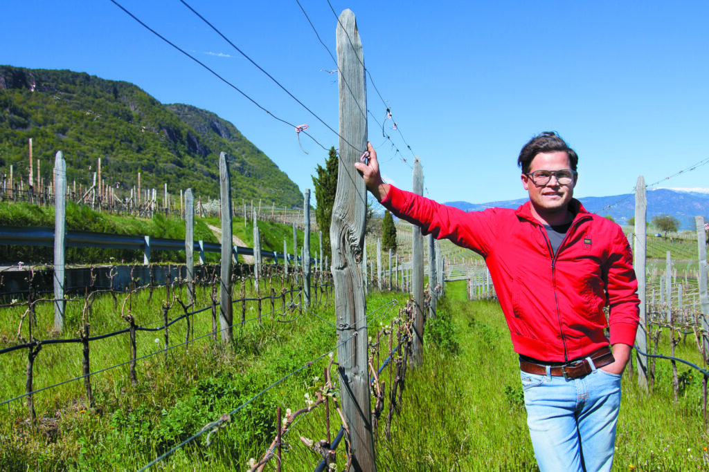 Hannes Andergassen, paladino del Pinot nero a Caldaro