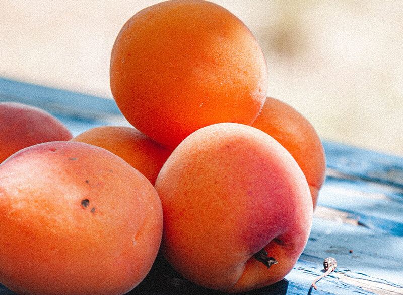 Albicocca, dolci varietà italiane del superfood estivo