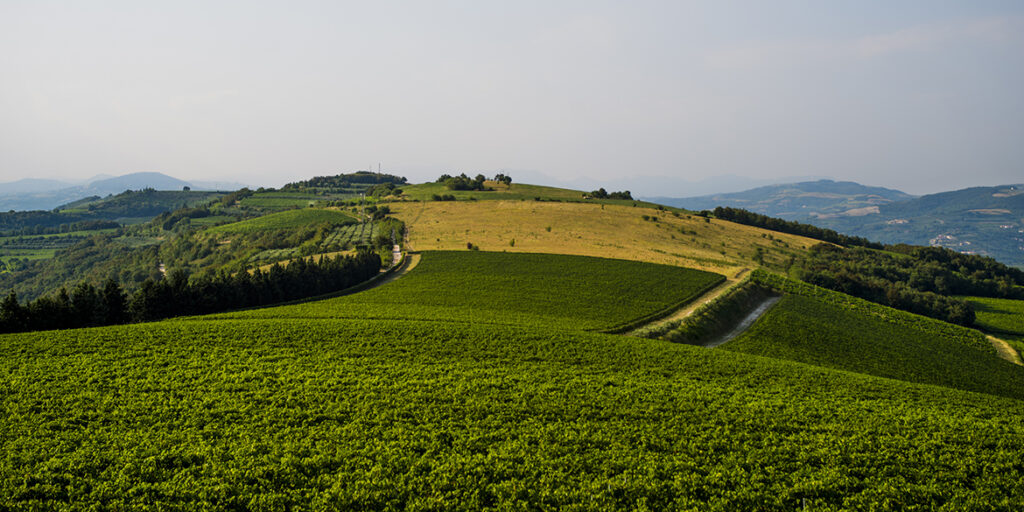 Pasqua, lo stile è nel terroir