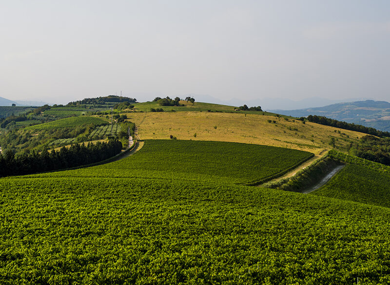Pasqua, lo stile è nel terroir