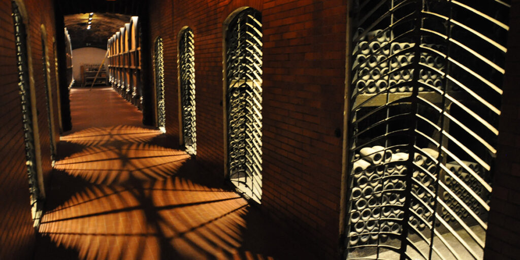Le nuove annate di Cantina Terlano