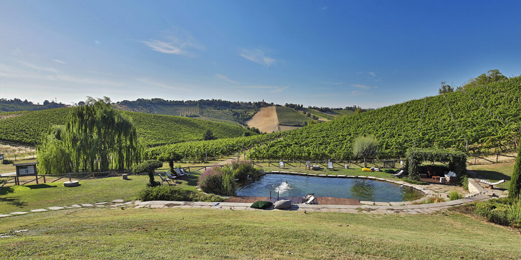 Vacanze in vigna, le iniziative dei Consorzi alla scoperta del territorio