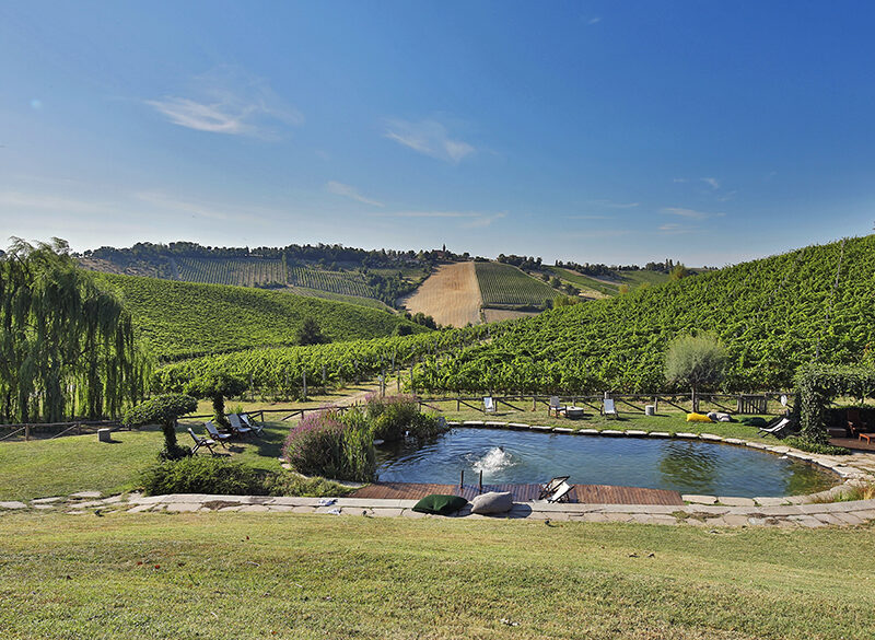 Vacanze in vigna, le iniziative dei Consorzi alla scoperta del territorio