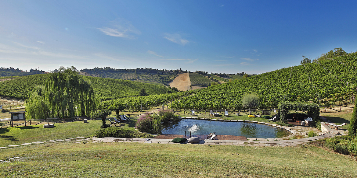 Vacanze in vigna, le iniziative dei Consorzi alla scoperta del territorio
