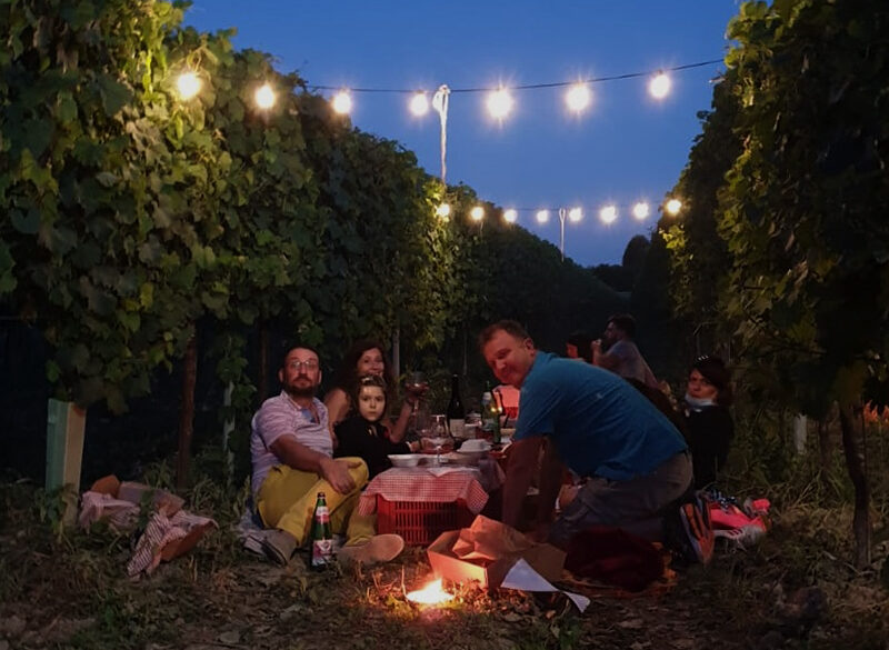 Vacanze in vigna tra picnic, escursioni e lezioni di yoga