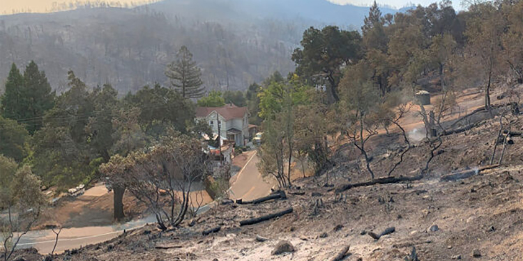 La California è in fiamme