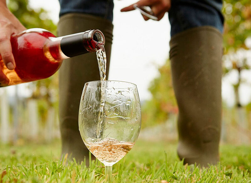 Rosé Revolution, è il loro momento