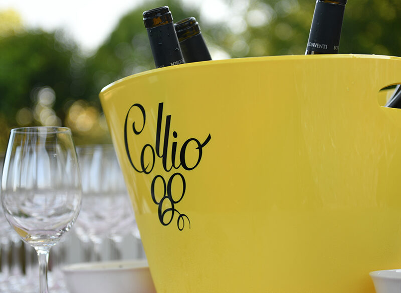 Taglio delle rese: una riflessione che parte dal Collio